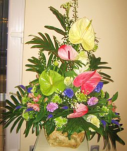 Mother's day colorful arrangement of anthurium, green santini, philodendron and echinopsis